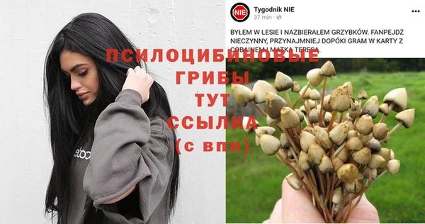 гидра Абинск